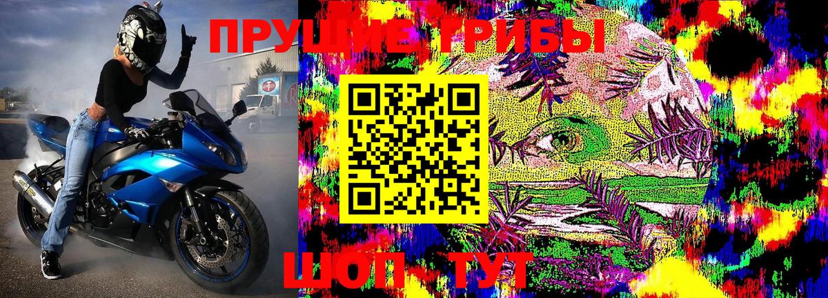 Псилоцибиновые грибы MAGIC MUSHROOMS  цена   Лосино-Петровский  Вход с VPN 
